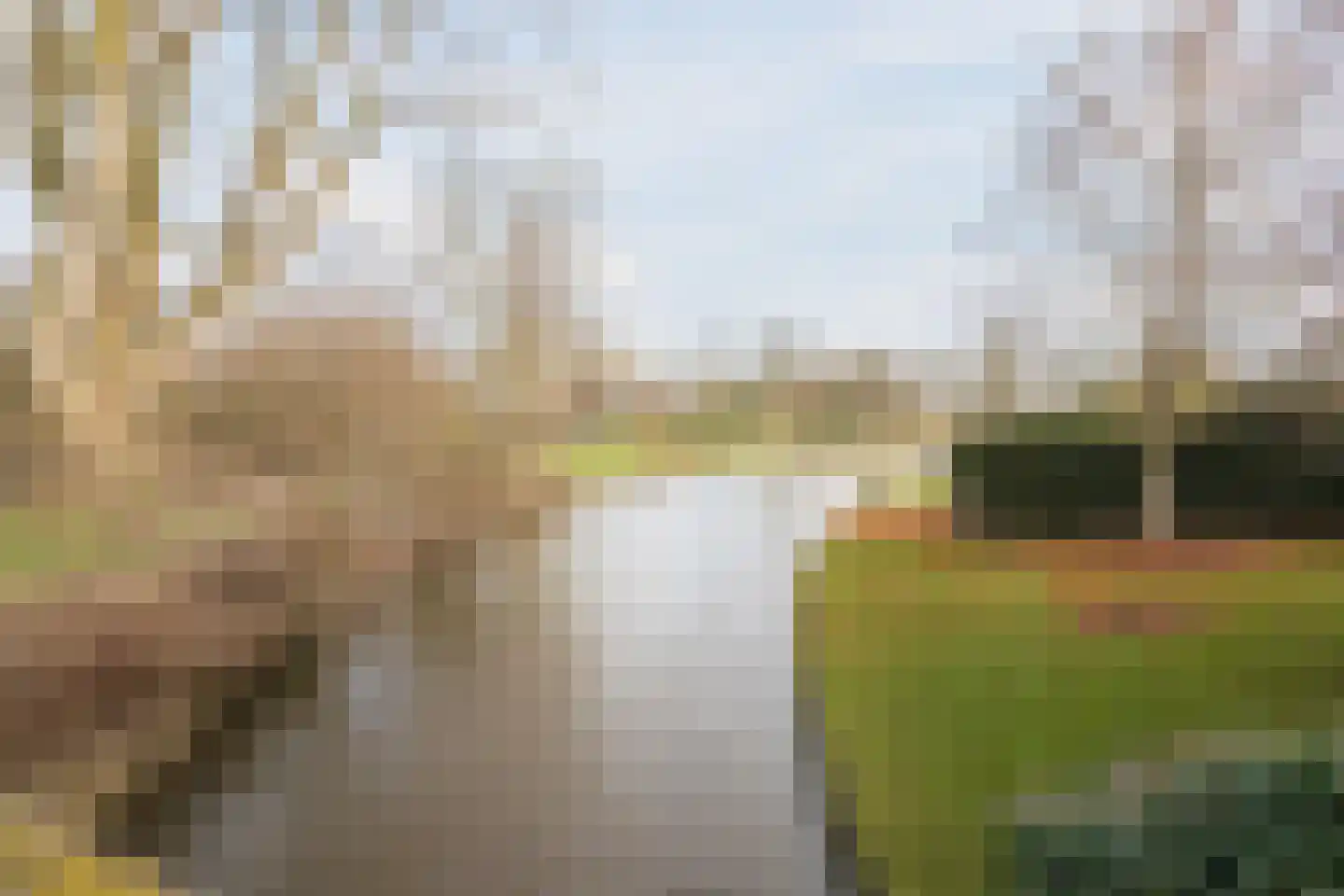 Hondelink 149 Haaksbergen thumbnail 39