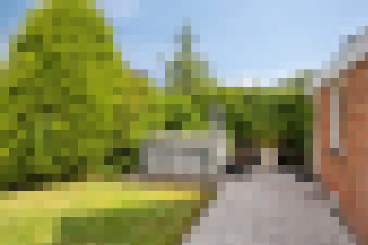Hondelink 149 Haaksbergen thumbnail 40