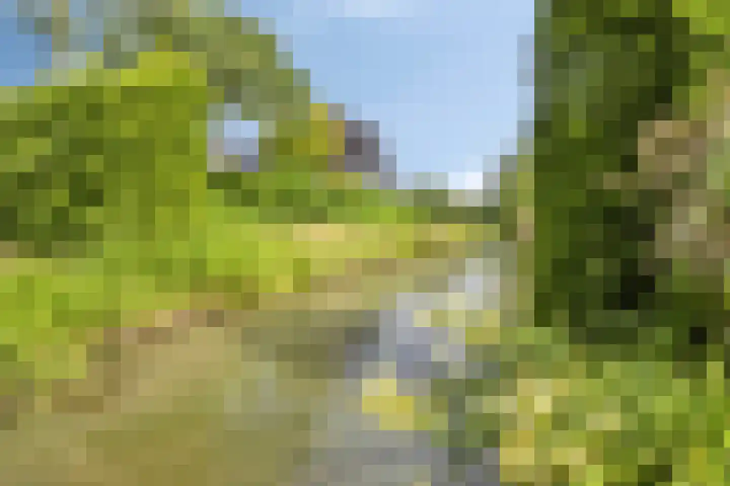 Hondelink 149 Haaksbergen thumbnail 46