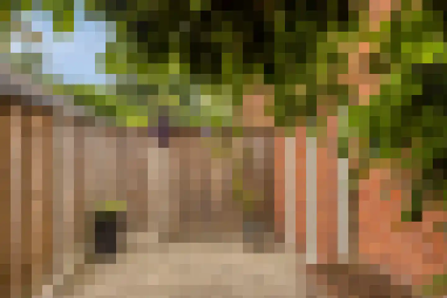 Hondelink 149 Haaksbergen thumbnail 47