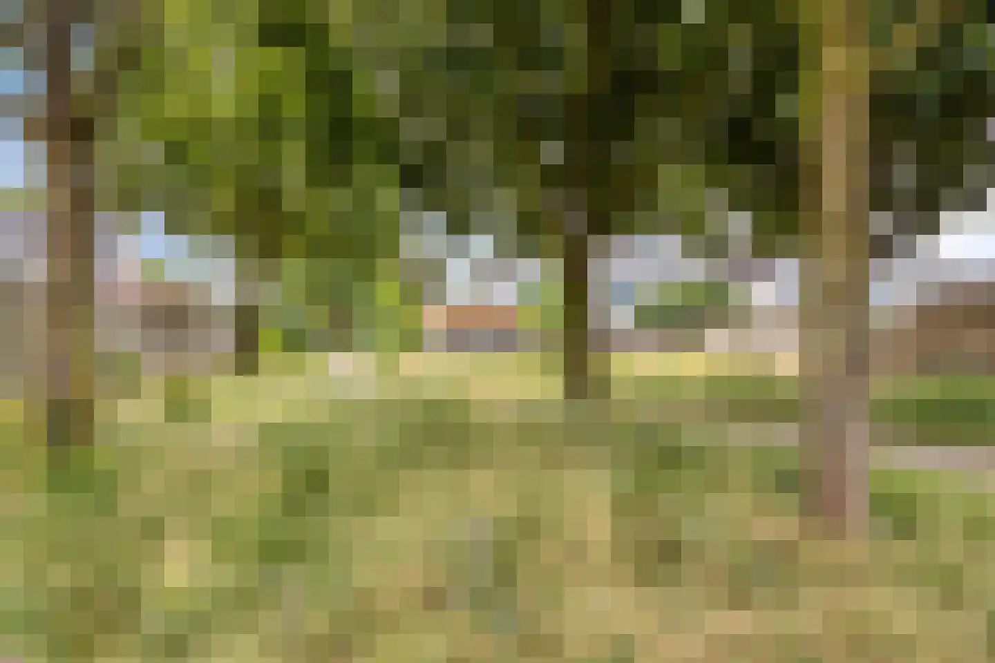 Hondelink 149 Haaksbergen thumbnail 48