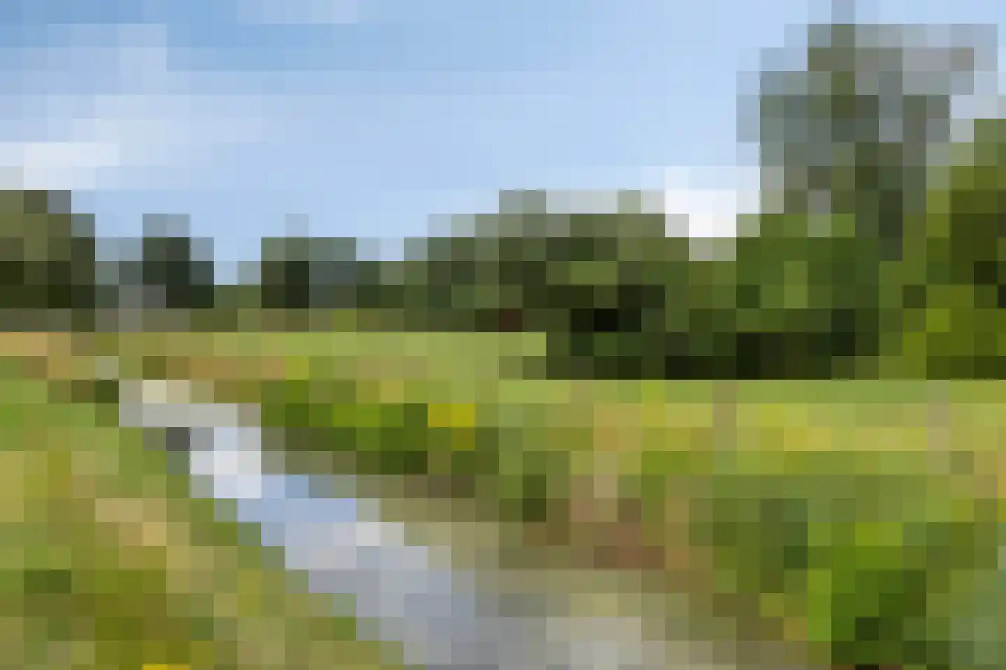 Hondelink 149 Haaksbergen thumbnail 49