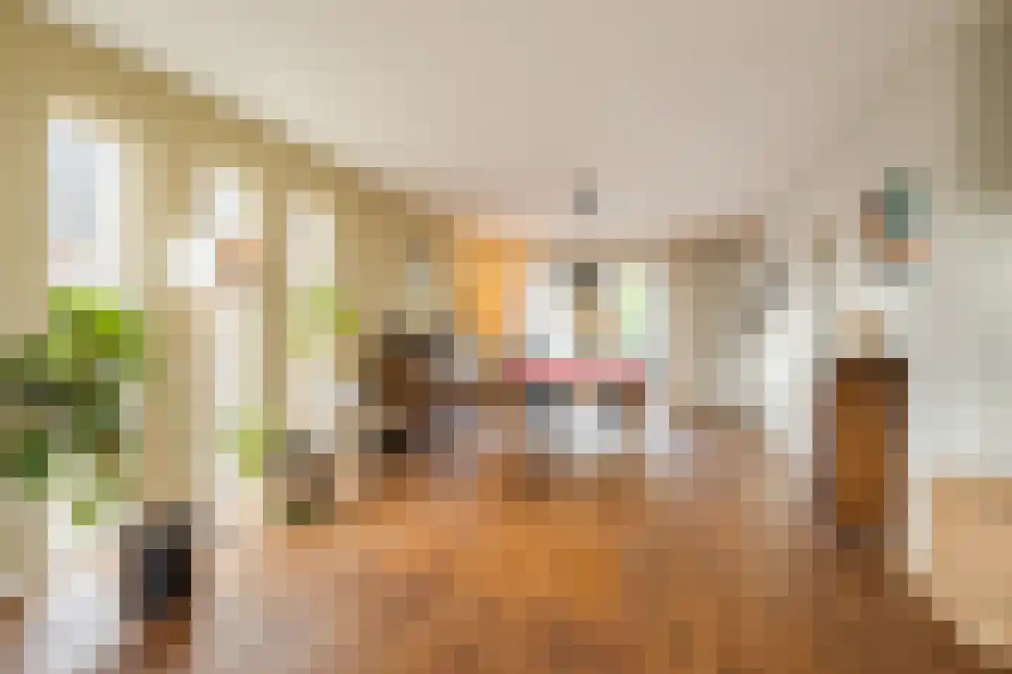 Hondelink 149 Haaksbergen thumbnail 5