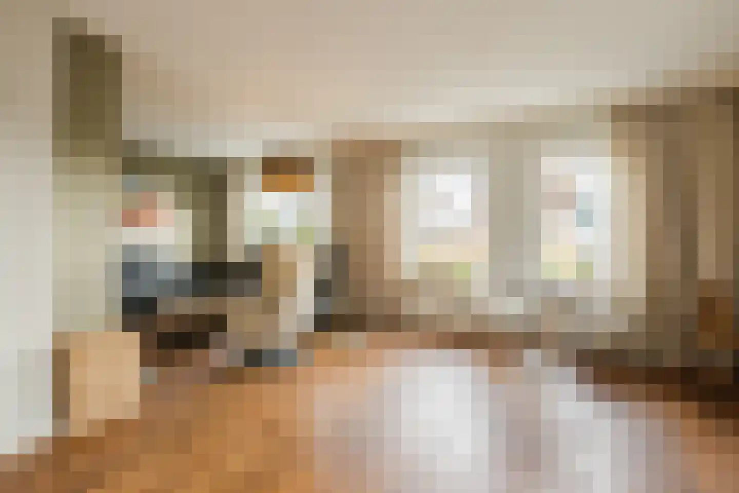 Hondelink 149 Haaksbergen thumbnail 6
