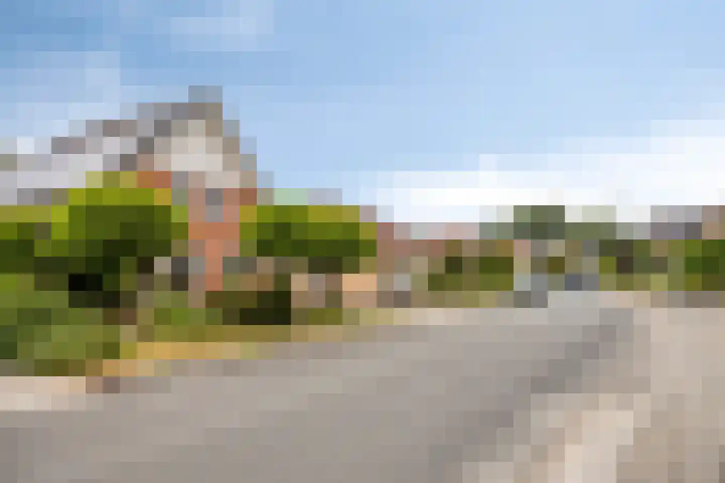 Hondelink 149 Haaksbergen thumbnail 7
