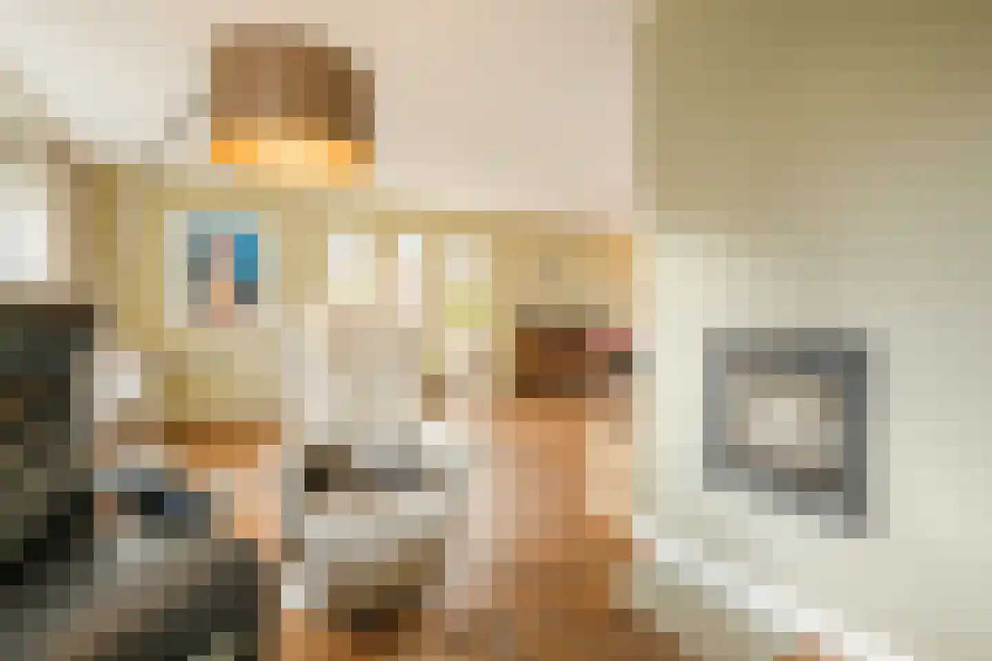 Hondelink 149 Haaksbergen thumbnail 8
