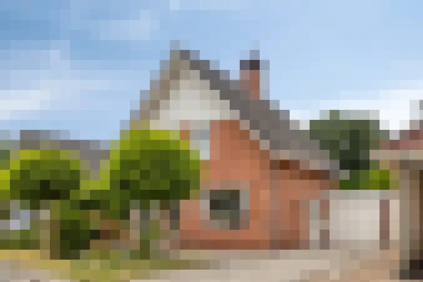 Hondelink 149 Haaksbergen thumbnail 8