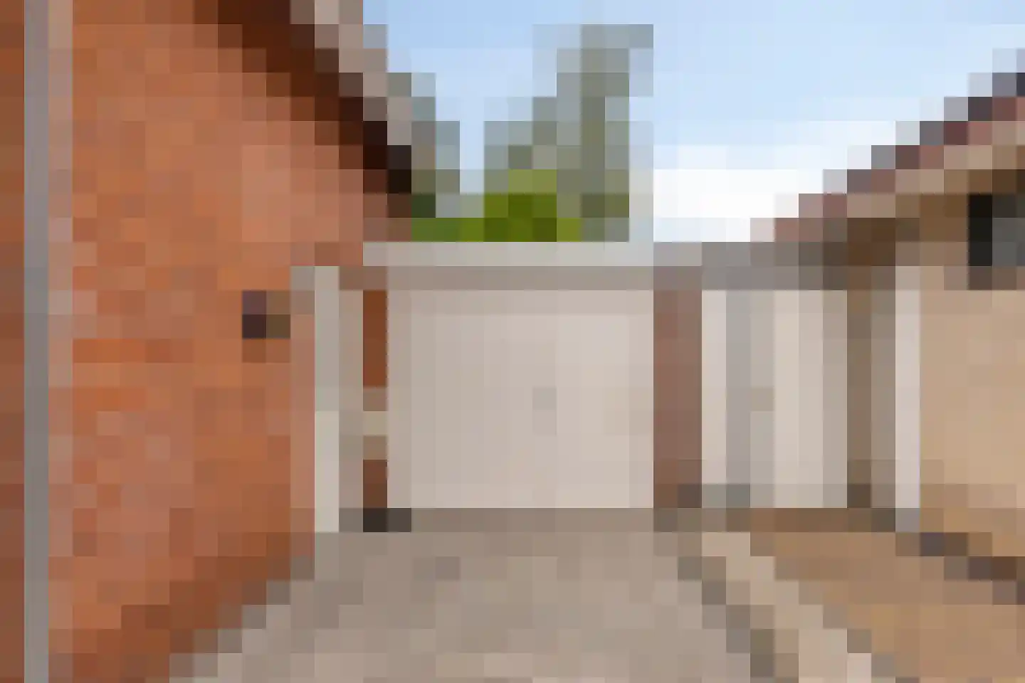Hondelink 149 Haaksbergen thumbnail 9