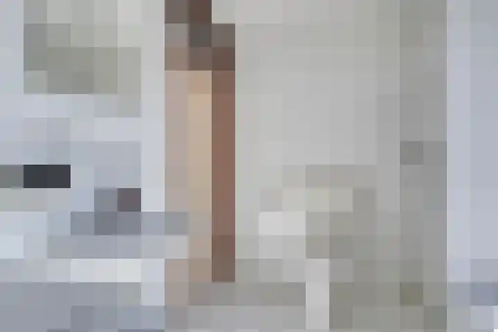Hondelink 162 Haaksbergen thumbnail 16