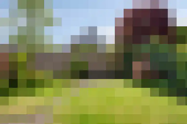 Hondelink 162 Haaksbergen thumbnail 22