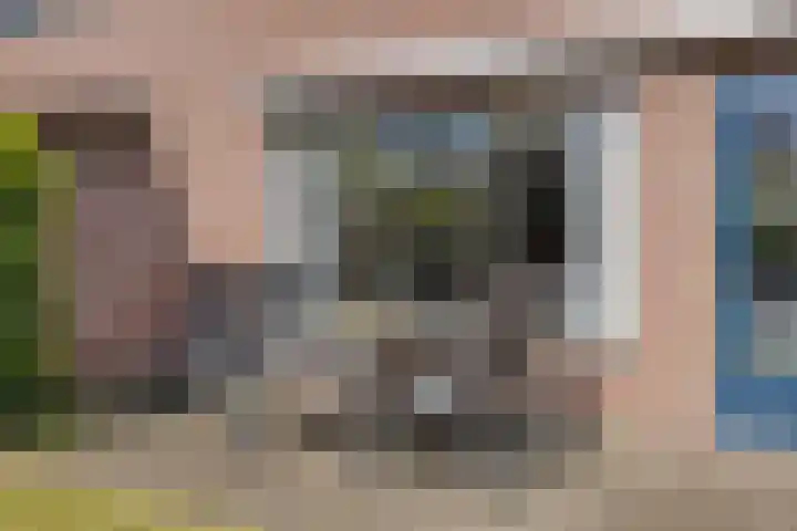Hondelink 162 Haaksbergen thumbnail 23