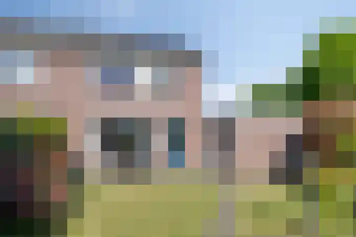 Hondelink 162 Haaksbergen thumbnail 24
