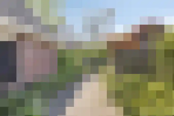 Hondelink 162 Haaksbergen thumbnail 25