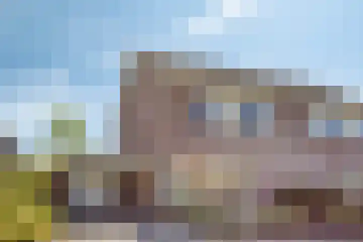 Hondelink 162 Haaksbergen thumbnail 30
