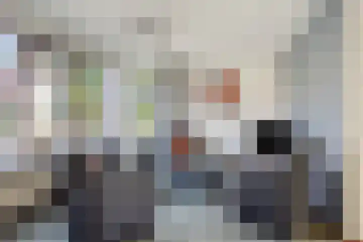 Hondelink 162 Haaksbergen thumbnail 6