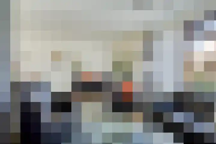 Hondelink 162 Haaksbergen thumbnail 7