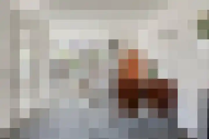 Hondelink 162 Haaksbergen thumbnail 8
