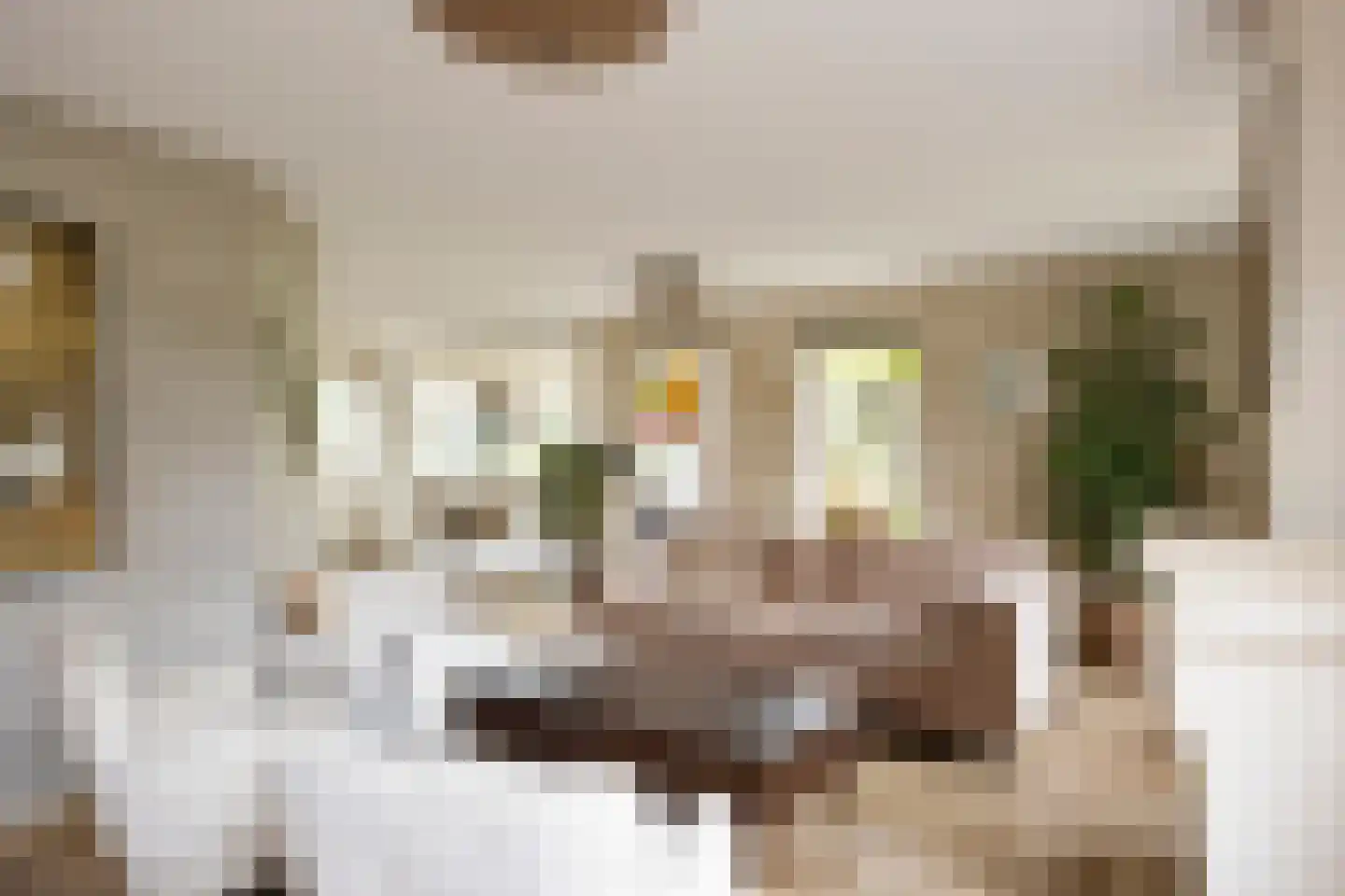 Hondelink 171 Haaksbergen thumbnail 13