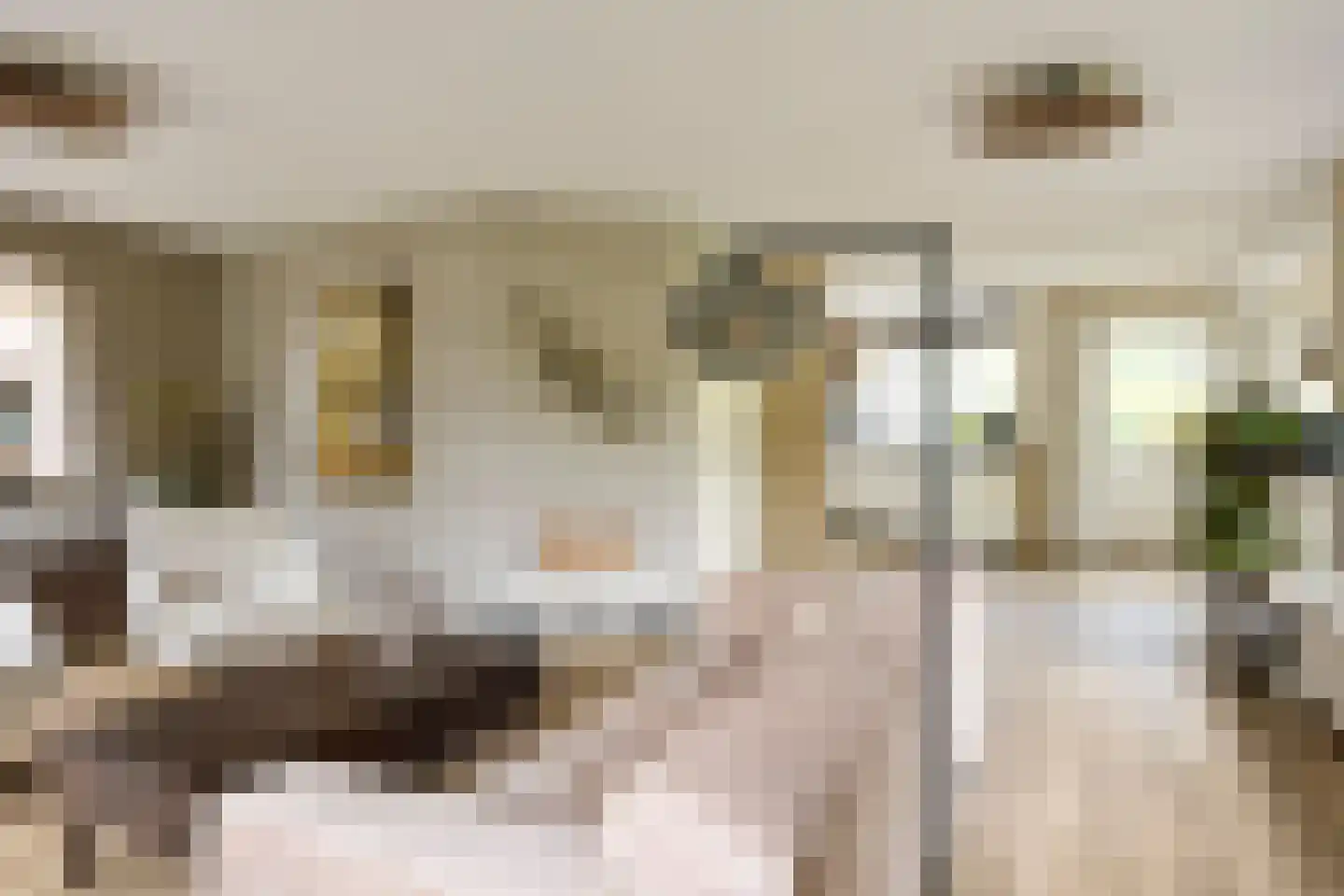 Hondelink 171 Haaksbergen thumbnail 14