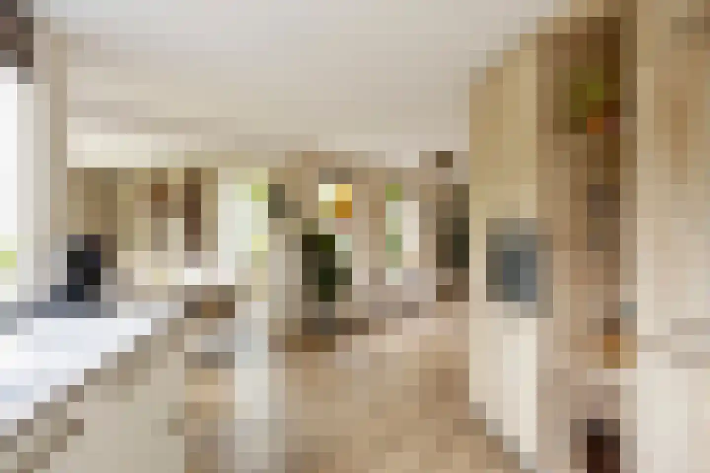 Hondelink 171 Haaksbergen thumbnail 21