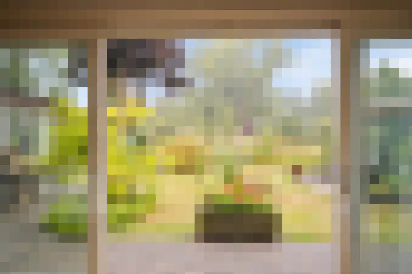 Hondelink 171 Haaksbergen thumbnail 24