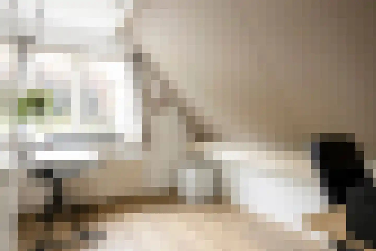 Hondelink 171 Haaksbergen thumbnail 39