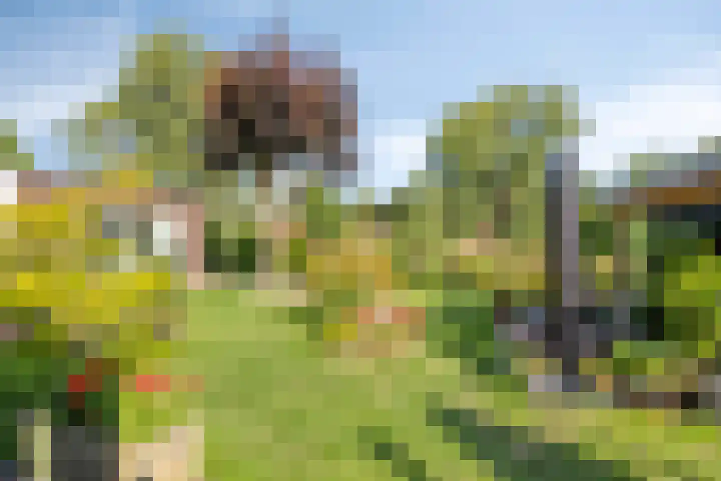 Hondelink 171 Haaksbergen thumbnail 4