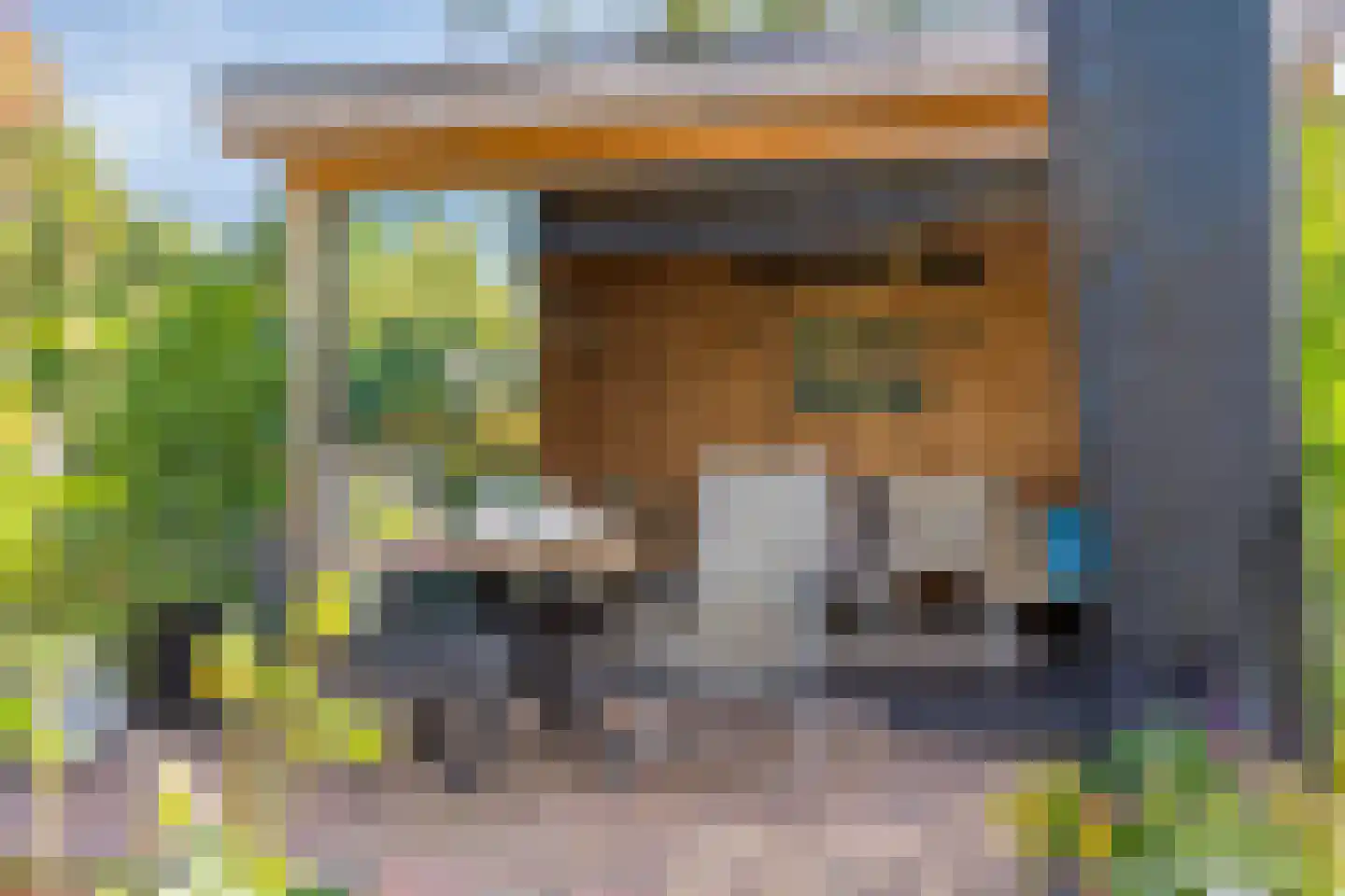 Hondelink 171 Haaksbergen thumbnail 43