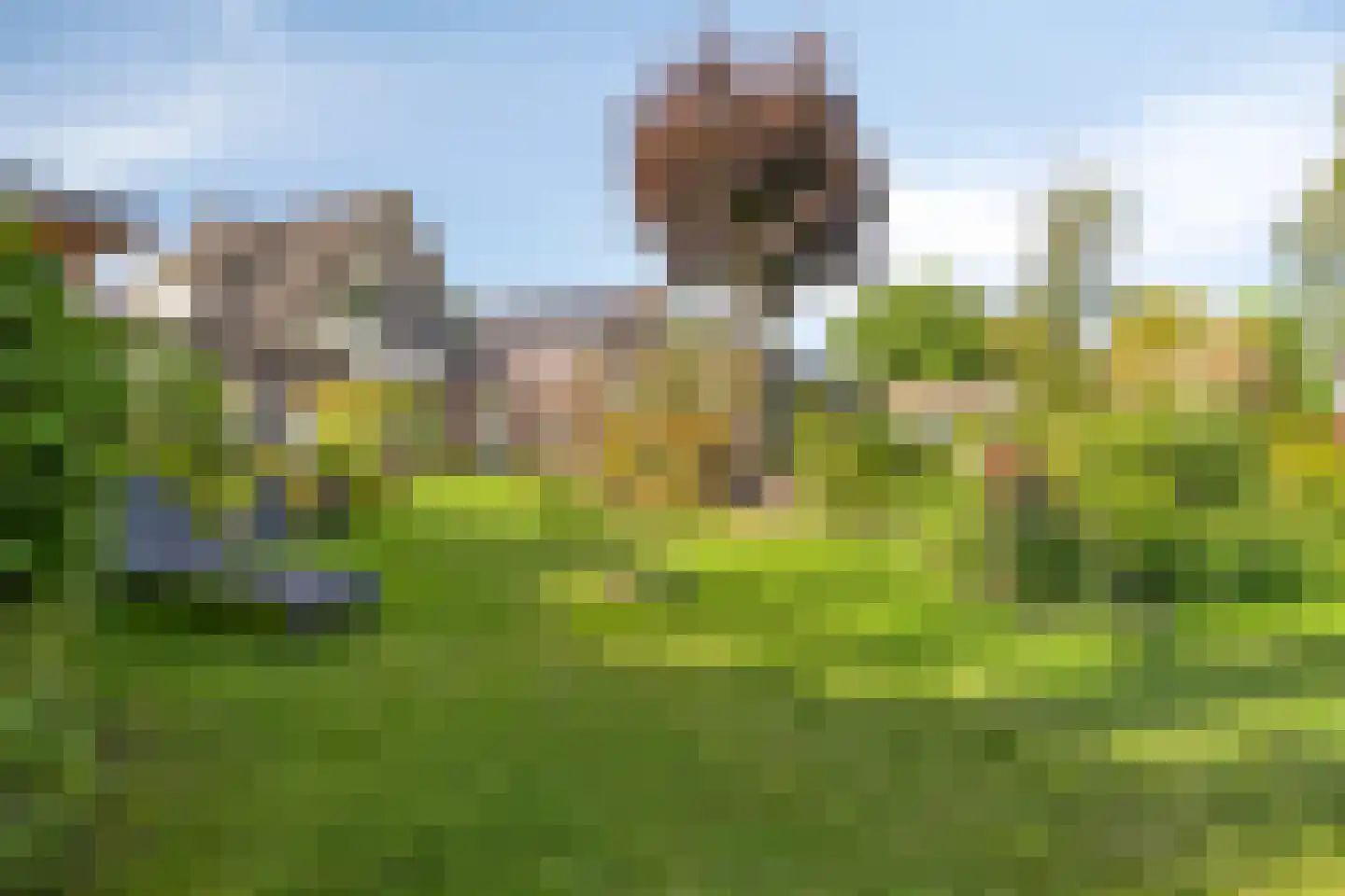 Hondelink 171 Haaksbergen thumbnail 47