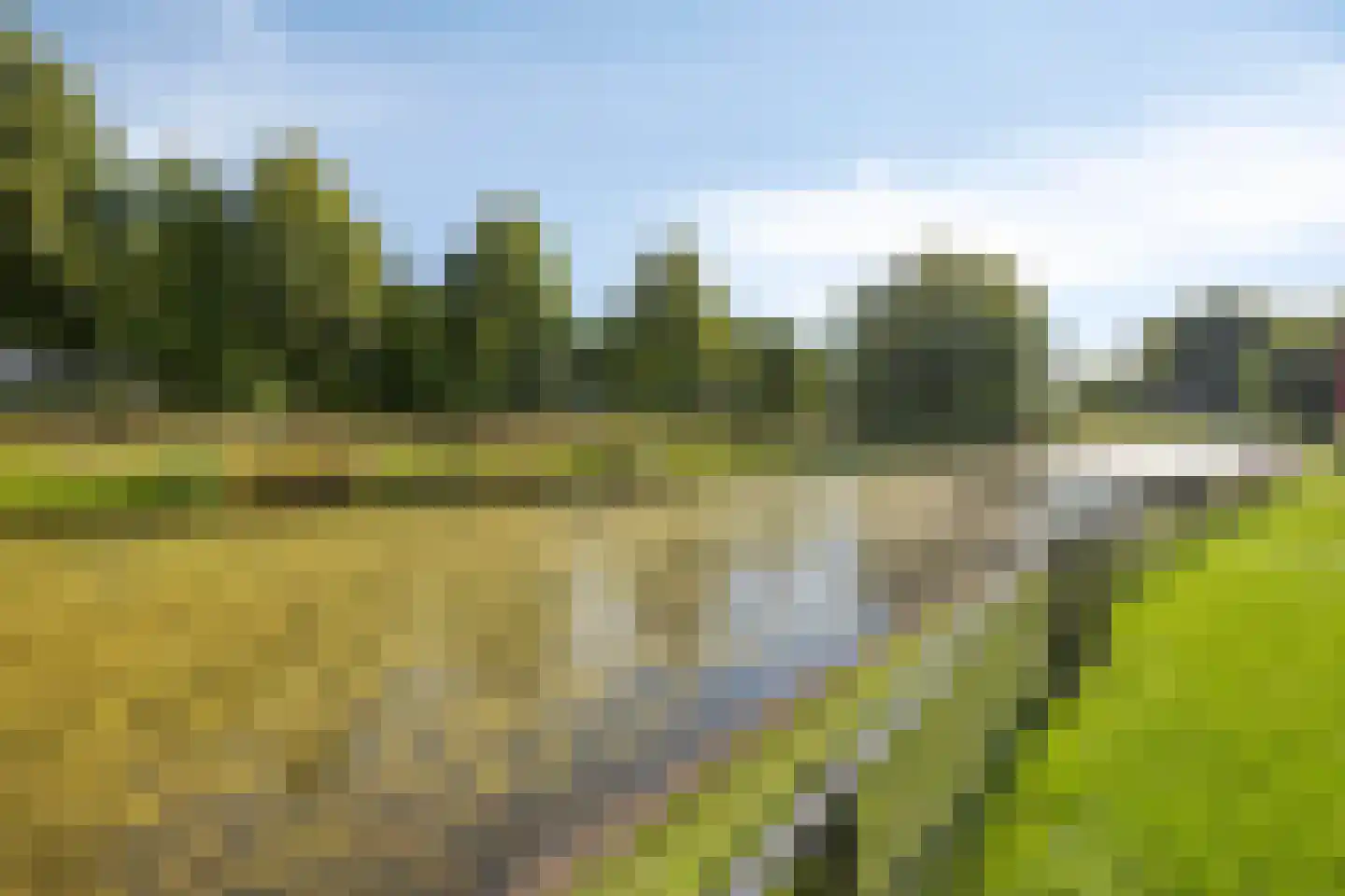 Hondelink 171 Haaksbergen thumbnail 49
