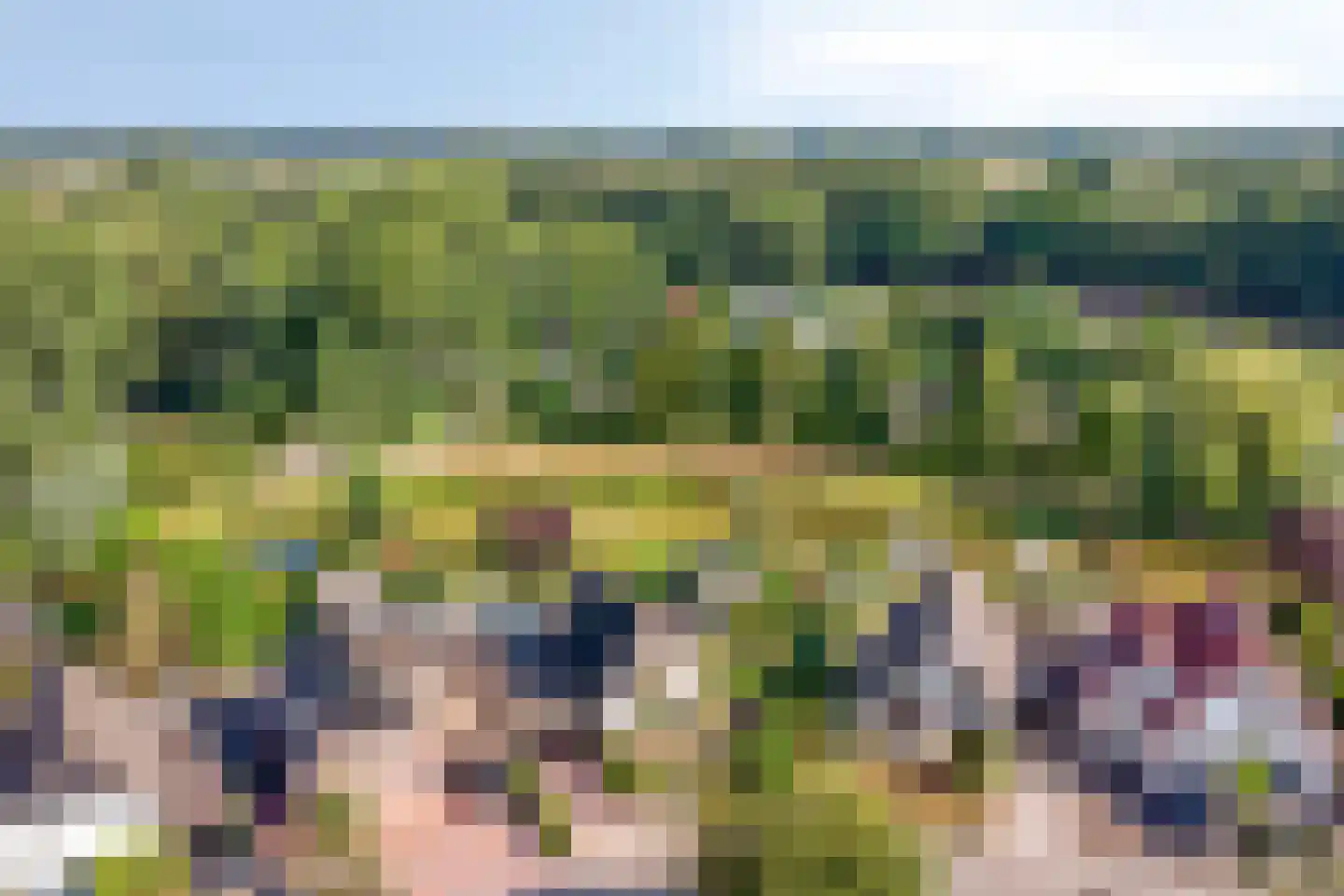 Hondelink 171 Haaksbergen thumbnail 8