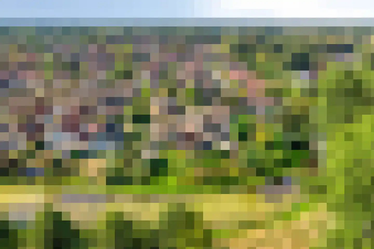 Hondelink 171 Haaksbergen thumbnail 9