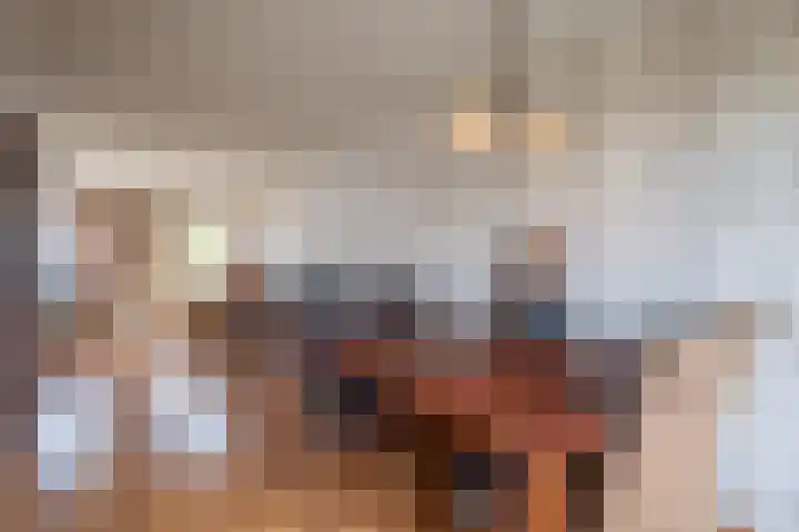 Hondelink 18 Haaksbergen thumbnail 14