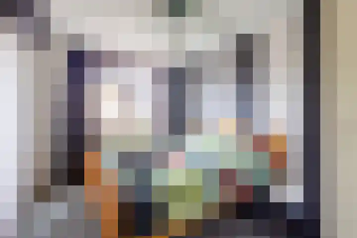Hondelink 18 Haaksbergen thumbnail 22