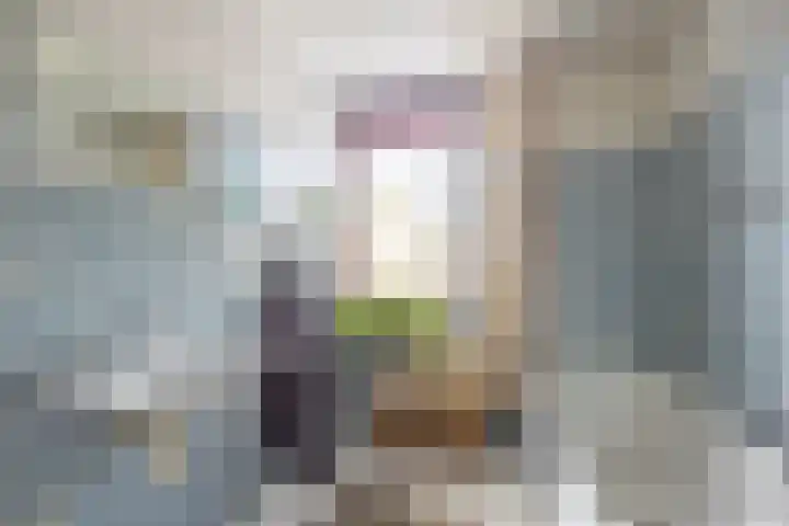 Hondelink 18 Haaksbergen thumbnail 29