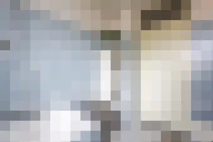Hondelink 18 Haaksbergen thumbnail 32
