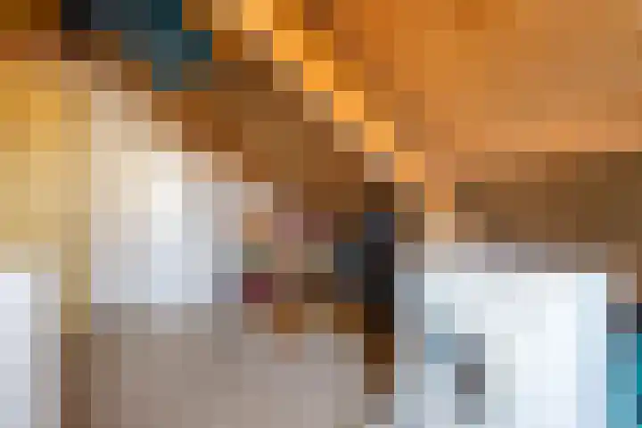 Hondelink 18 Haaksbergen thumbnail 33
