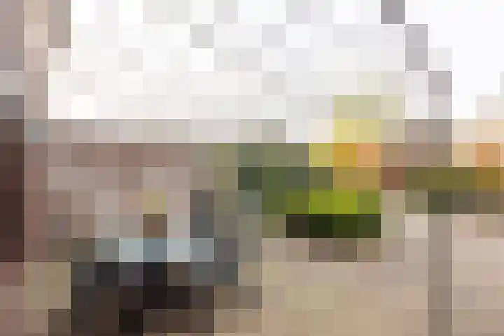 Hondelink 18 Haaksbergen thumbnail 35