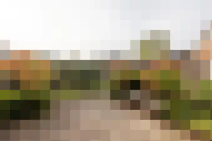 Hondelink 18 Haaksbergen thumbnail 37