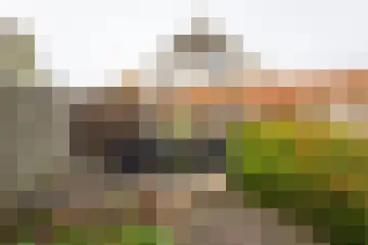 Hondelink 18 Haaksbergen thumbnail 38