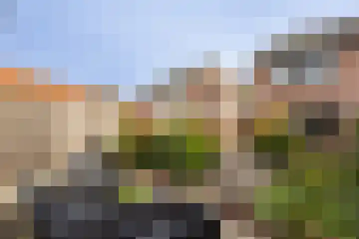 Hondelink 18 Haaksbergen thumbnail 39