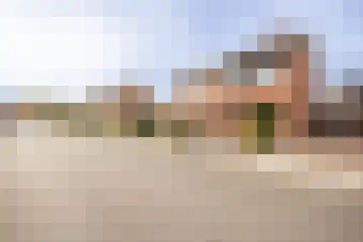 Hondelink 18 Haaksbergen thumbnail 4