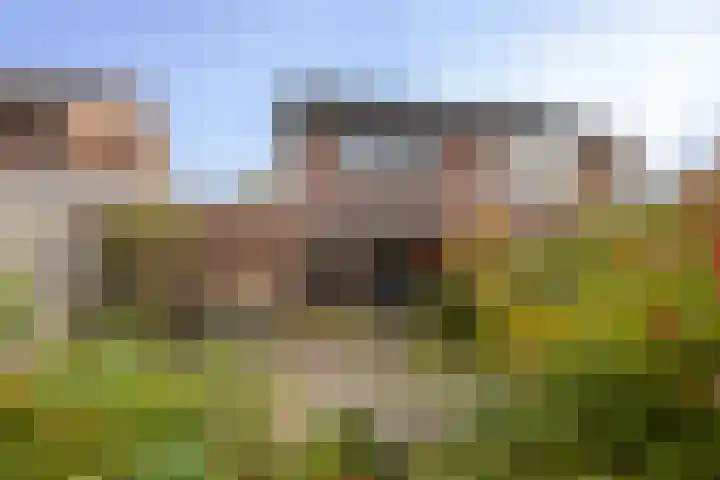 Hondelink 18 Haaksbergen thumbnail 40