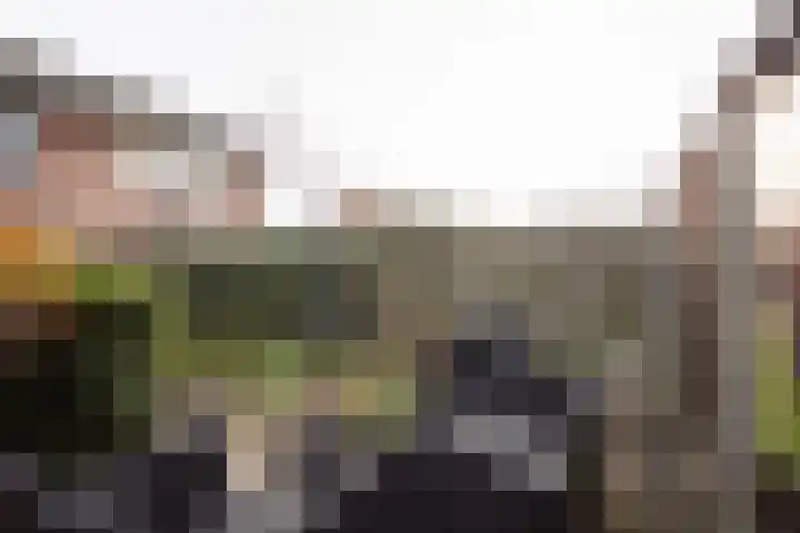 Hondelink 18 Haaksbergen thumbnail 41