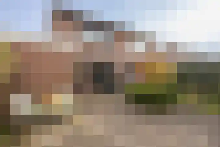 Hondelink 18 Haaksbergen thumbnail 42
