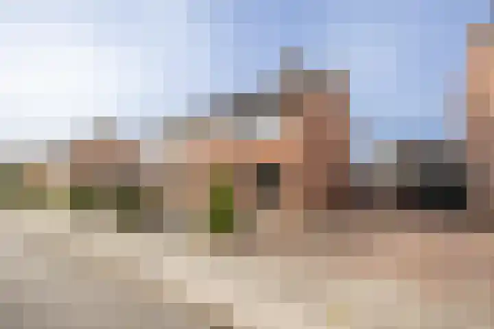 Hondelink 18 Haaksbergen thumbnail 7