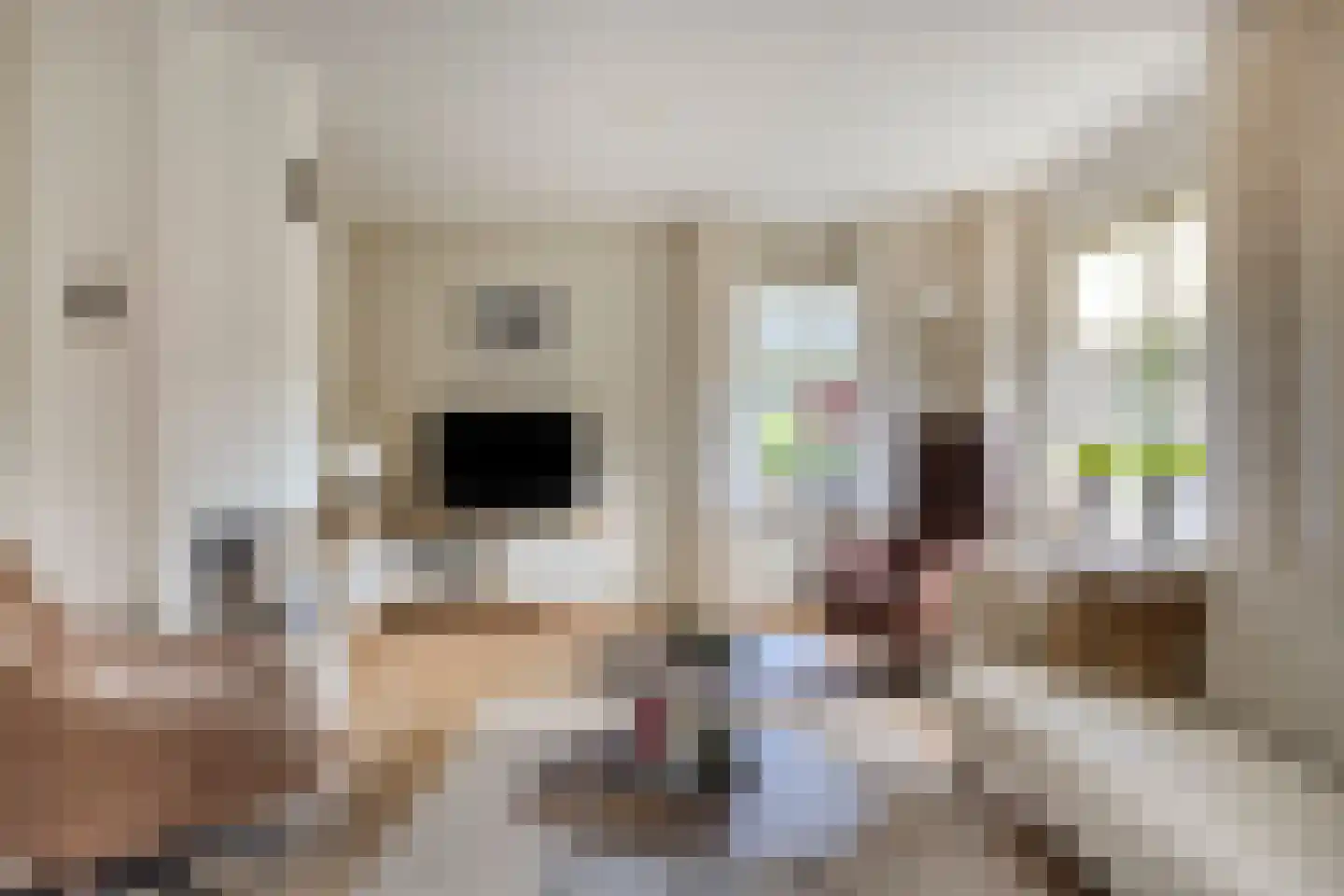 Hondelink 181 Haaksbergen thumbnail 12