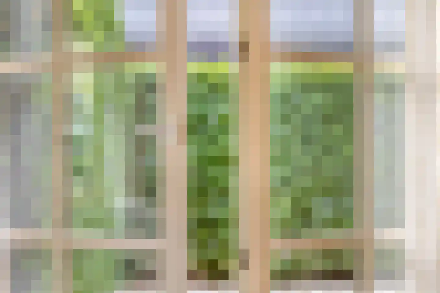 Hondelink 181 Haaksbergen thumbnail 13