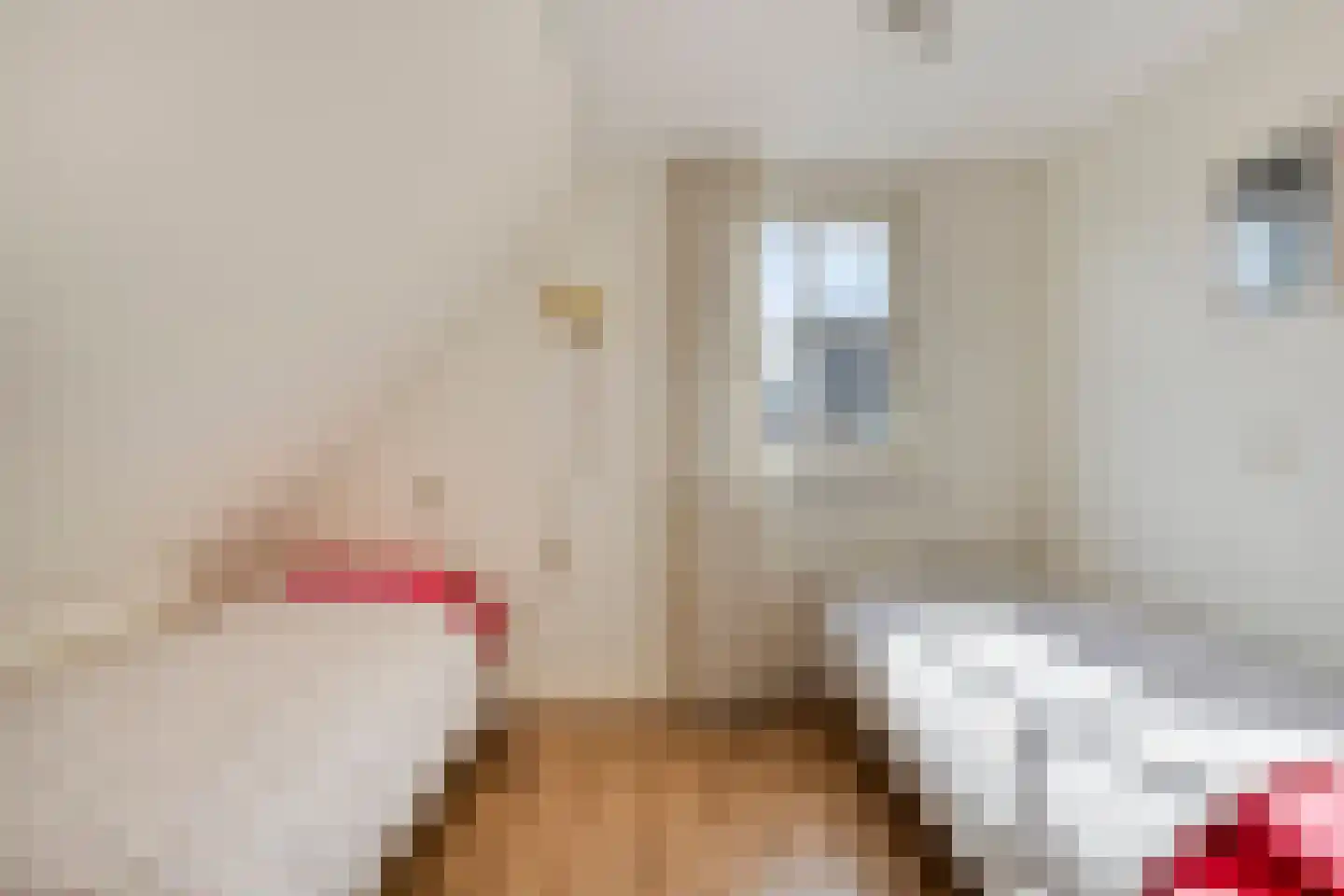 Hondelink 181 Haaksbergen thumbnail 28