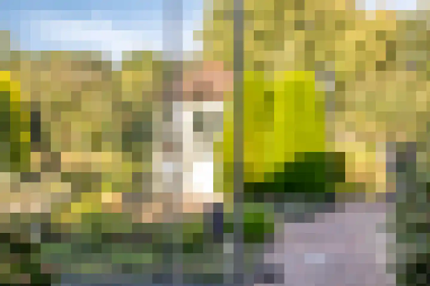 Hondelink 181 Haaksbergen thumbnail 30